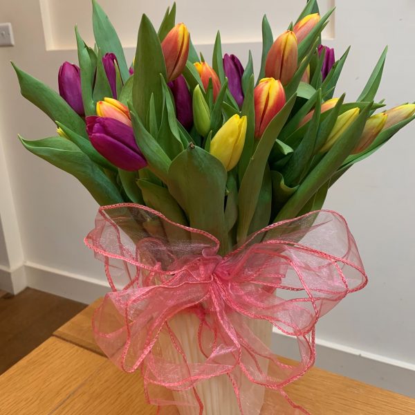 Winter Tulips